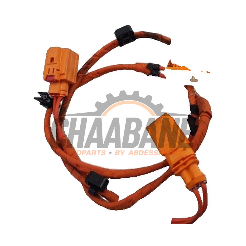 Cable haute tension 1EA971475B Cupra Born 58 2021