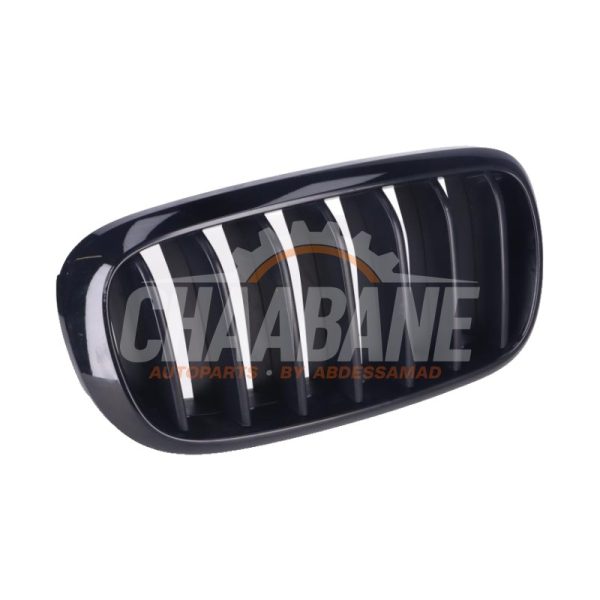 Calandre 7316054 BMW X6 2014 / 2019