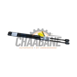 Kit amortisseur gaz hayon 5F4827550A Seat Leon (5FB) 1.6 TDI Ecomotive 16V 2012 / 2020