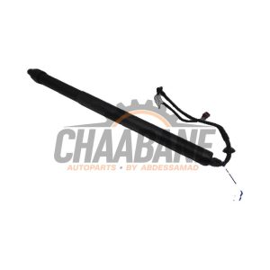 Amortisseur a gaz arriere gauche K8D270354AD Landrover Range Rover