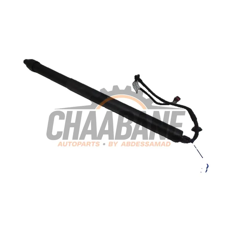 Amortisseur a gaz arriere gauche K8D270354AD Landrover Range Rover