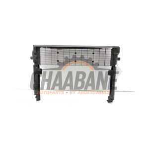 Barre radiateur 17118666838 BMW iX (I20) xDrive40 77 kWh 2021