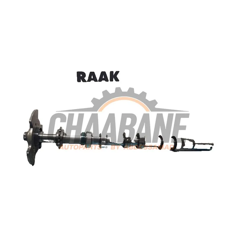 Kit arbre a cames 9X2Q6A273AB Landrover Range Rover Sport (LW) 3.0 TDV6