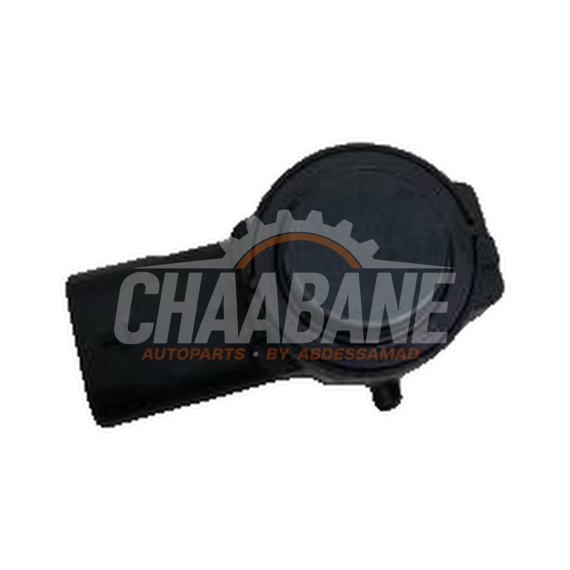 Capteur PDC 5WA919275B Audi Q4 Sportback (4FN) 40 e-tron 2021