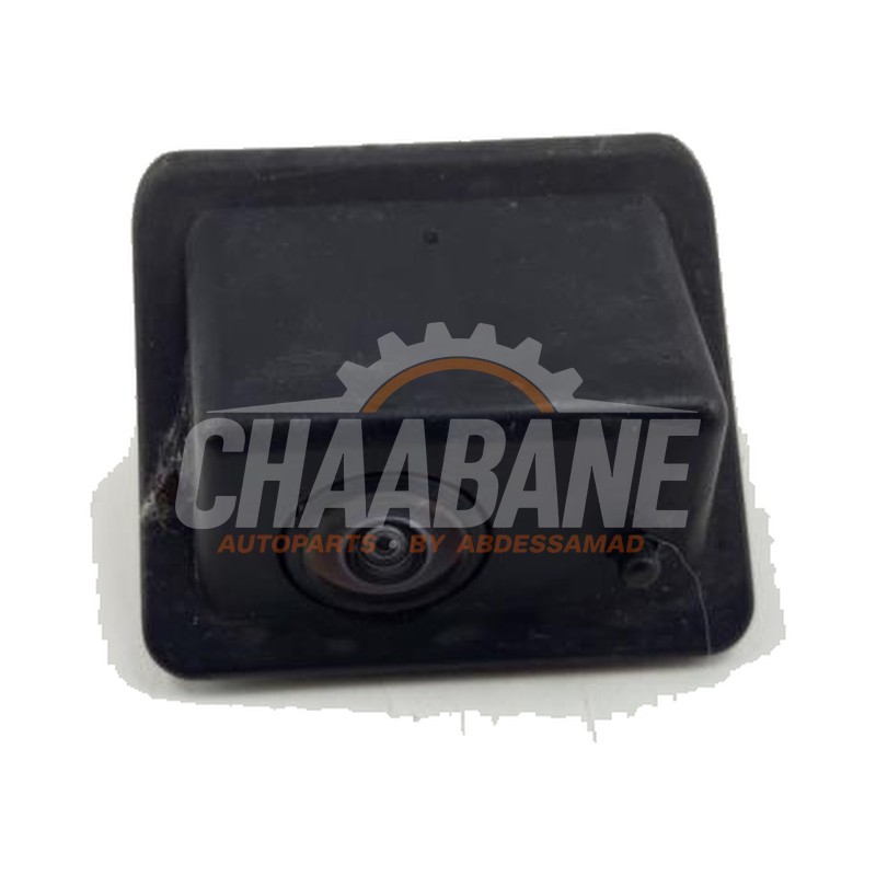 Camera de recul 10E807210A Cupra Born 58 2021