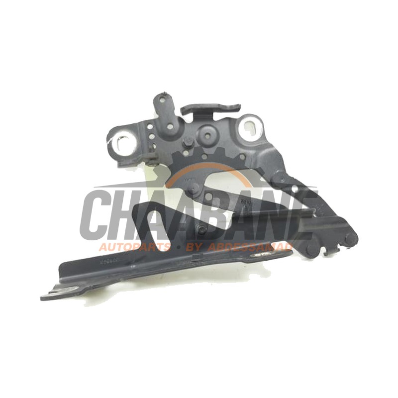 Charniere capot 13989610 BMW 3 serie Touring (F31) 320d 2.0 16V EfficientDynamicsEdition 2012 / 2019