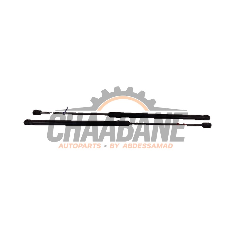 Amortisseur a gaz arriere gauche 5FE827550 Seat Leon 2020