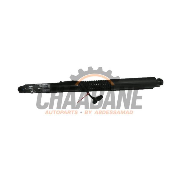 Amortisseur a gaz arriere droit 51249482795 BMW iX3 80 kWh 2020