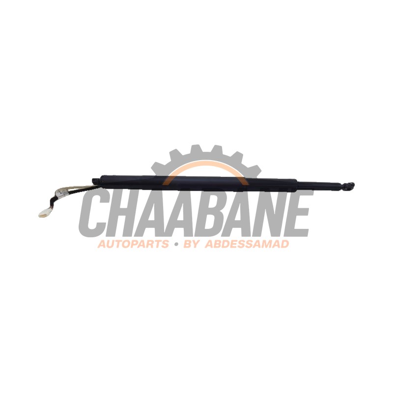 Hayon moteur 7453413 BMW 3 serie Touring (G21) 318i 2.0 TwinPower Turbo 16V 2019