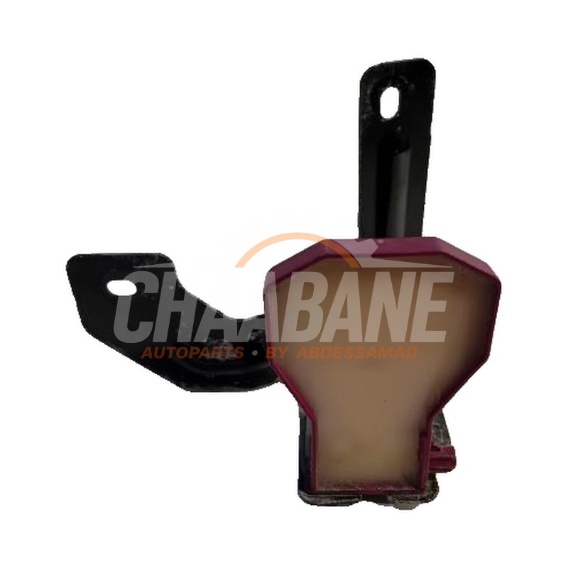 Antenne amplificateur 4M0035507 Audi RS3 2021