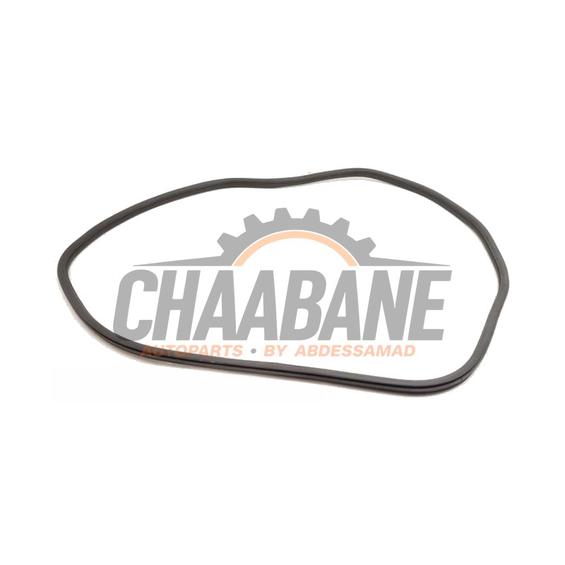 Joint caoutchouc portiere 4portes arriere gauche 739344911 BMW X3 (G01) xDrive 30e 2.0 TwinPower Turbo 16V 2017