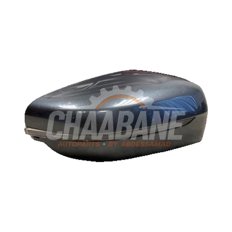 Coque retroviseur droit 22413014 BMW 3 serie Touring (G21) 320e 2.0 TwinPower Turbo 16V 2019