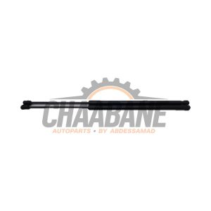 Verin de coffre 51247456042 BMW 1 serie (F40) 118i 1.5 TwinPower 12V 2019