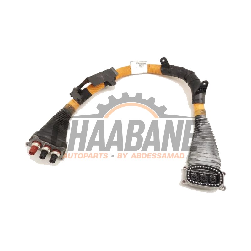 Cable haute tension J9D314K194AC Jaguar I-Pace EV400 AWD