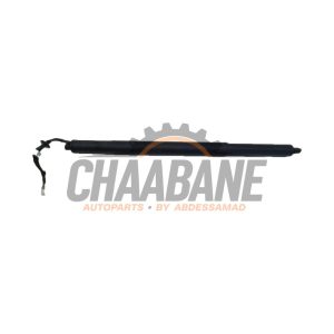 Amortisseur a gaz arriere droit 51248494161 BMW 2 serie Active Tourer (U06) 218i 1.5 TwinPower Turbo 12V 2021