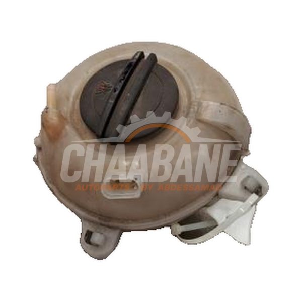 Vase dexpansion Audi S3 Sportback (8VA/8VF) 2.0 T FSI 16V 2012 / 2020