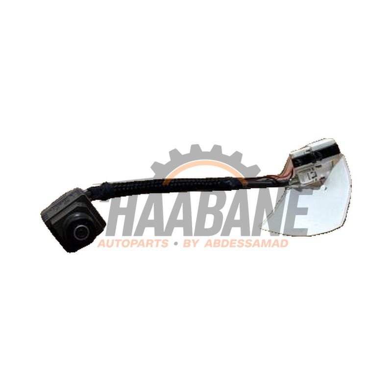 Module camera A1669050803 Mercedes CLA (117.3) 1.6 CLA-200 16V