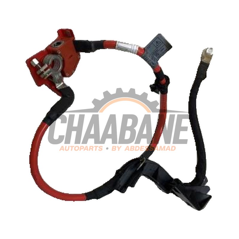 Capteur de batterie 10304410 BMW 3 serie Touring (G21) 318i 2.0 TwinPower Turbo 16V 2019