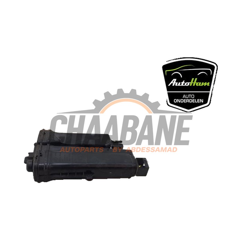 Filtre carbone 2Q0201801 Seat Ibiza V (KJB) 1.0 TGI 12V 2017