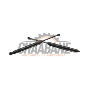 Kit amortisseur gaz hayon 8W0823359B Audi A4 (B9) 2.0 35 TDI 16V 2015
