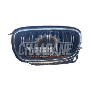 Calandre 51117303107 BMW X5 (F15) xDrive 40e 2.0 2013 / 2018