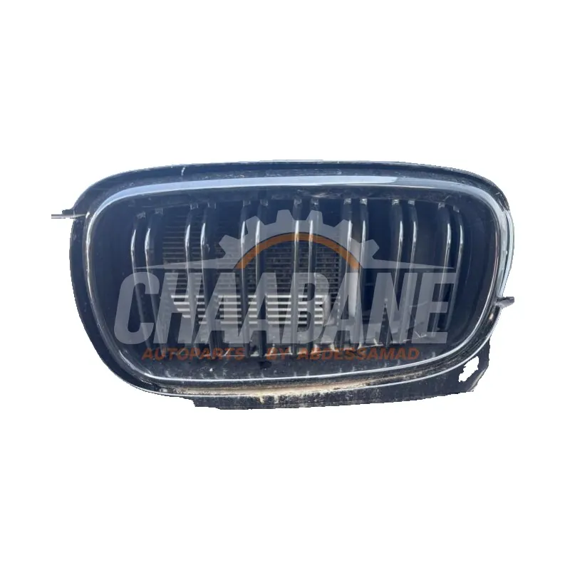 Calandre 51117303107 BMW X5 (F15) xDrive 40e 2.0 2013 / 2018