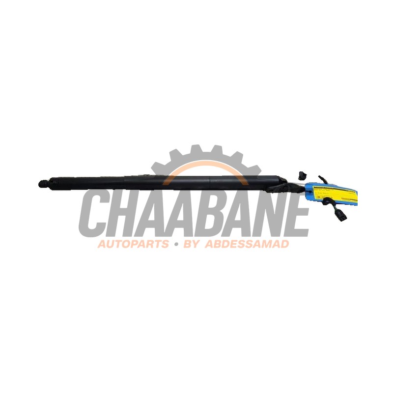 Amortisseur a gaz arriere gauche 81A827851B Audi Q2 (GAB/GAG) 1.6 30 TDI 16V 2016