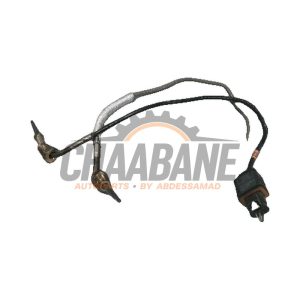 Capteur temperature dEchappement 05E919519J Skoda Karoq 2017