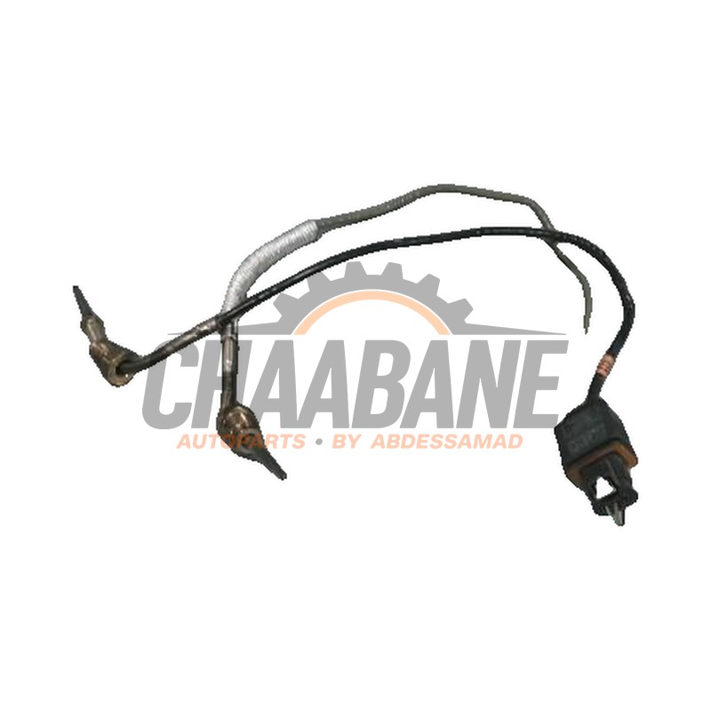 Sensor temperature d'echappement 05E919519J Audi Q2 2016