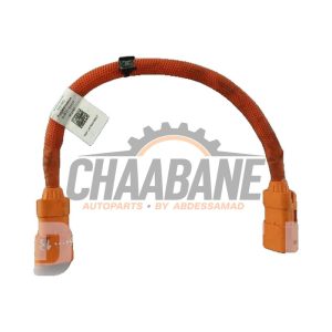 Cable haute tension 9J1971059A Audi e-tron GT (F83) Competition 93 kWh 2020
