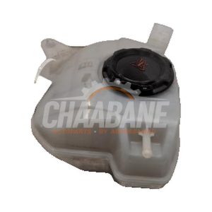 Vase dexpansion 2Q0121407D Seat Ibiza V (KJB) 1.0 TSI 12V 2017