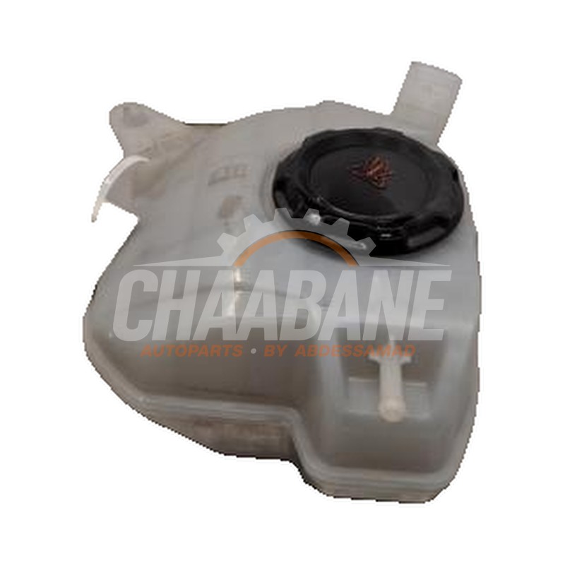Vase dexpansion 2Q0121407D Seat Ibiza V (KJB) 1.0 TSI 12V 2017