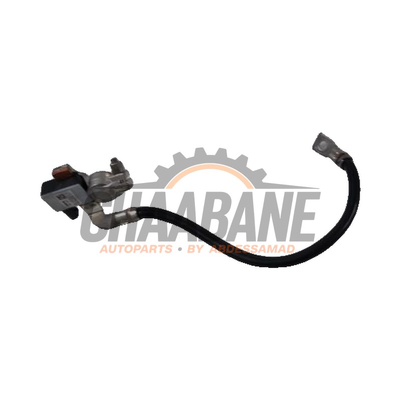 Cable (divers) BMW 4 serie (F32) 430i 2.0 TwinPower Turbo 16V 2013 / 2020