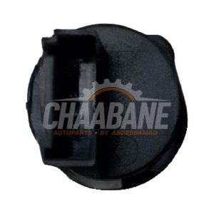 Commodo 61319272858 BMW iX (I20) xDrive40 77 kWh 2021