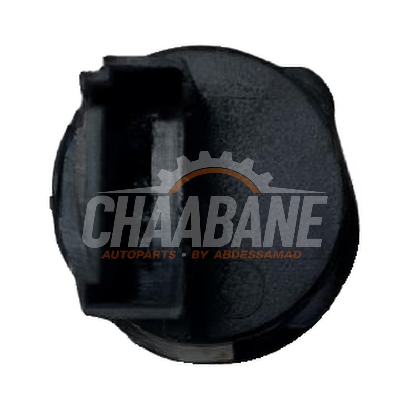 Commodo 61319272858 BMW iX (I20) xDrive40 77 kWh 2021