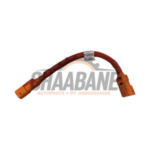 Cable haute tension 9J1971061A Audi e-tron GT (F83) Competition 93 kWh 2020