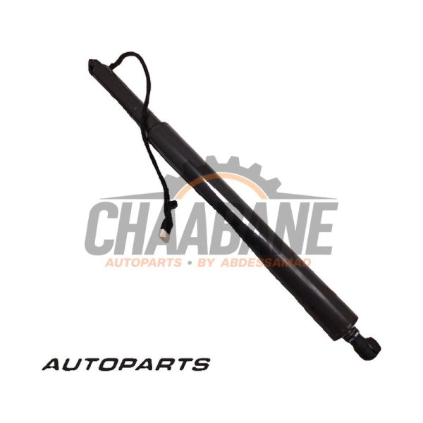 Amortisseur a gaz arriere droit 245742279 BMW iX (I20) xDrive40 77 kWh 2021