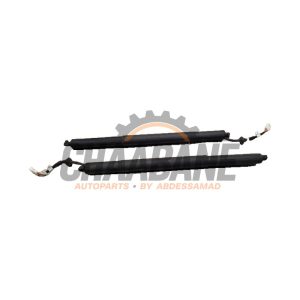 Kit amortisseur gaz hayon 9482800 BMW X5 (G05) xDrive 30d 3.0 24V 2018