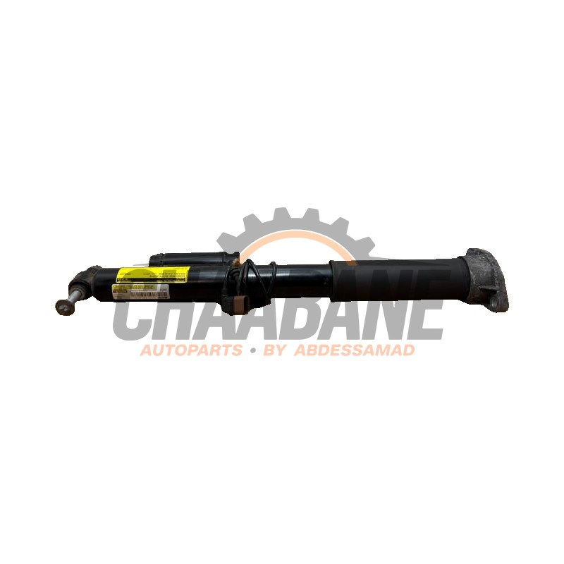Amortisseur arriere droit A2133204203 Mercedes CLS (C257) 53 AMG EQ Boost 3.0 24V 4-Matic+