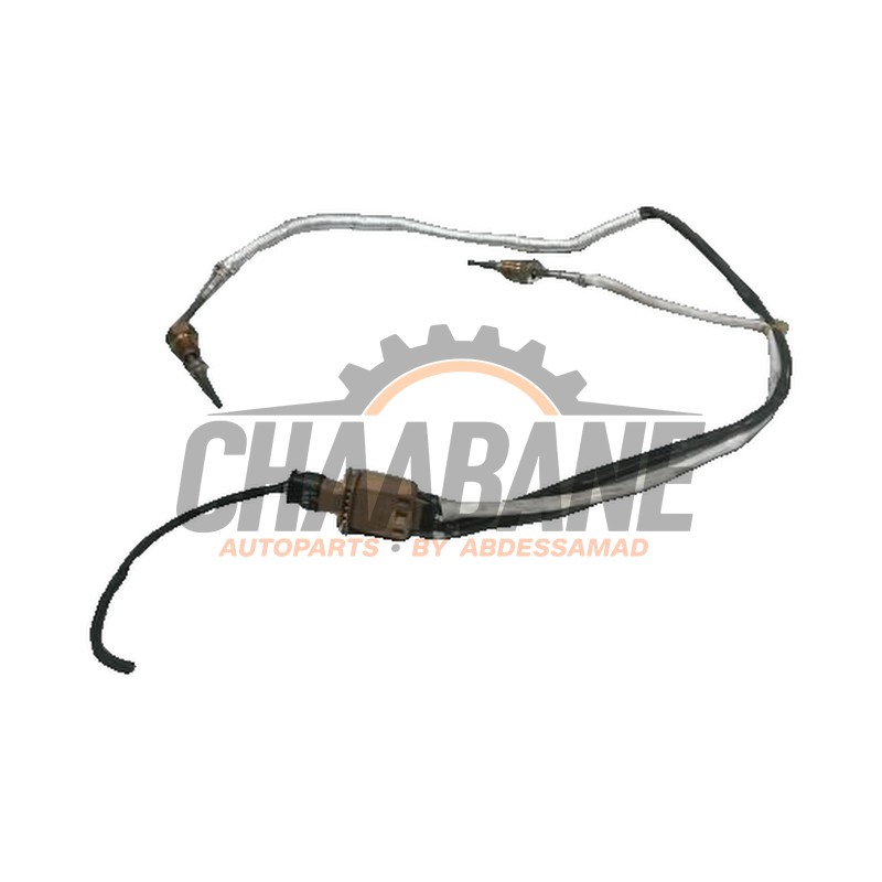 Sensor temperature d'echappement 8W0919519C Audi Q5 2020
