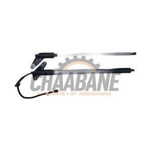 Amortisseur a gaz arriere droit 571827522 Volkswagen Tiguan (CT1) 2.0 TDI 4Motion 2023