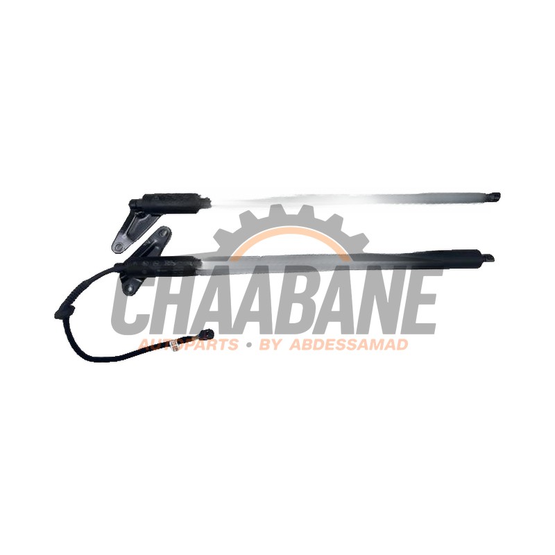 Kit amortisseur gaz hayon 571827522 Volkswagen Tiguan (CT1) 2023