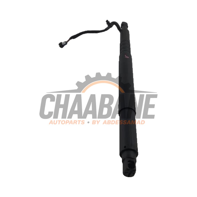 Amortisseur a gaz arriere gauche 7397905 BMW 6-Serie 2017 / 2024