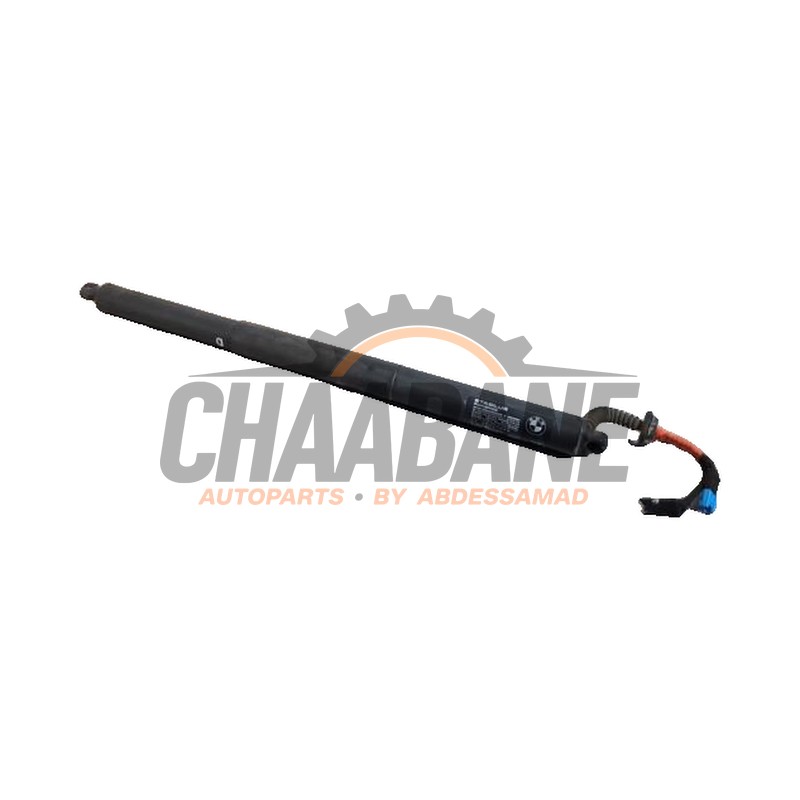 Kit amortisseur couvercle coffre 51247481807 BMW X1 (F48) sDrive 16d 1.5 12V TwinPower 2014 / 2022