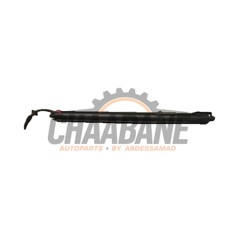 Amortisseur a gaz arriere droit 535123541 Landrover Discovery Sport (LC) 1.5 P300e 12V AWD