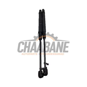 Amortisseur kit capot moteur A2059800164 Mercedes C (R205) C-180 1.6 16V