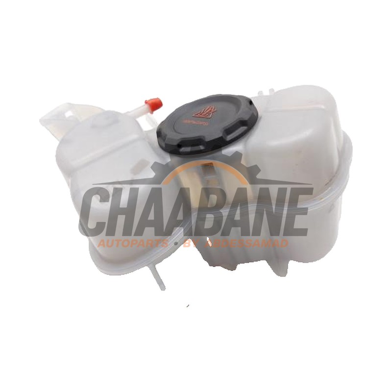 Vase dexpansion 1EA121407F Cupra Born 58 2021