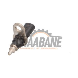Capteur de temperature moteur 079919523B Audi RS 4 Avant (B9) 2.9 V6 TFSI 24V 2017