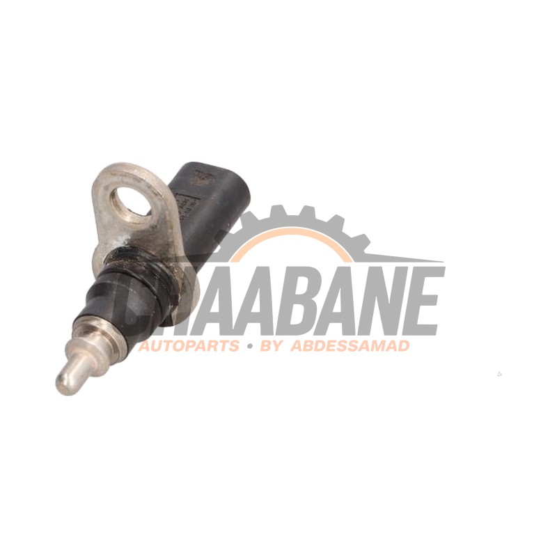 Capteur de temperature moteur 079919523B Audi RS 4 Avant (B9) 2.9 V6 TFSI 24V 2017