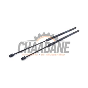 Amortisseur kit capot moteur A1669802464 Mercedes GLE (W166) 43 AMG 3.0 V6 24V Turbo 4-Matic